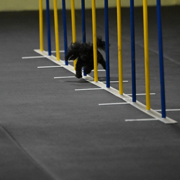 Murphy-Bourell-Casey-13436