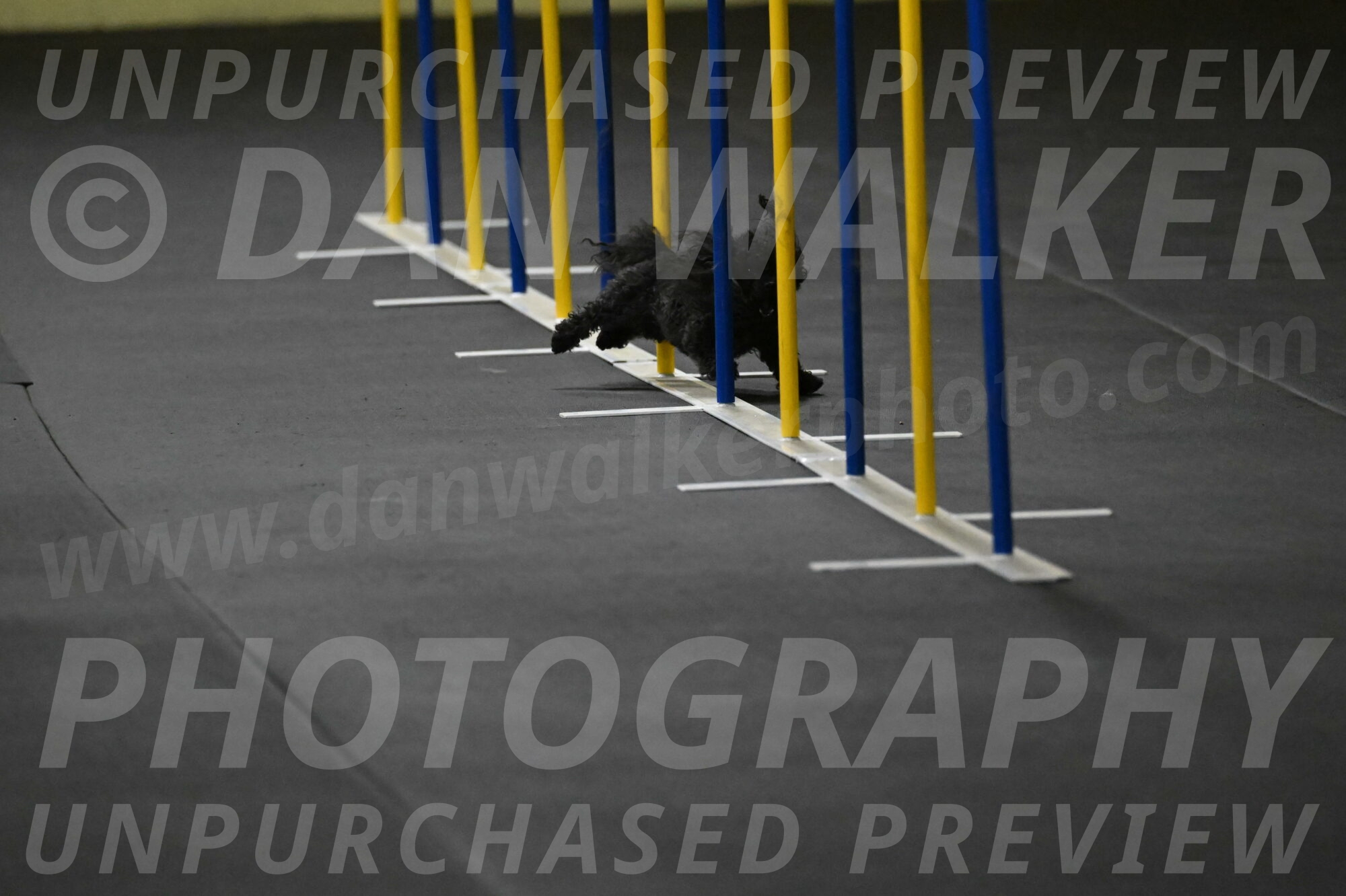 Murphy-Bourell-Casey-13439