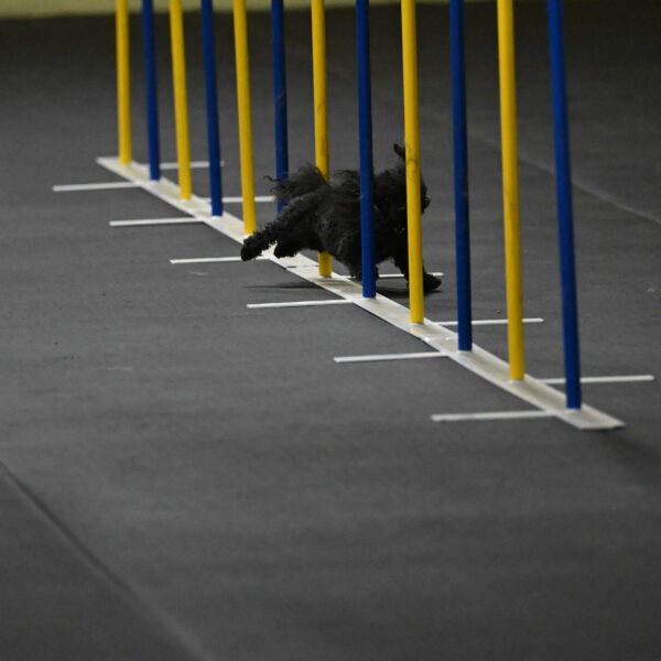 Murphy-Bourell-Casey-13439