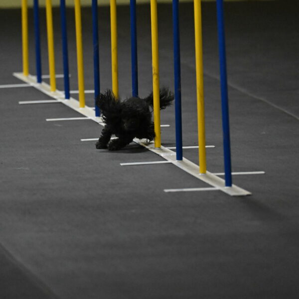 Murphy-Bourell-Casey-13442