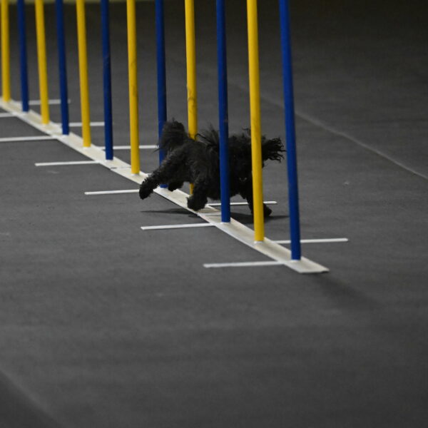 Murphy-Bourell-Casey-13444