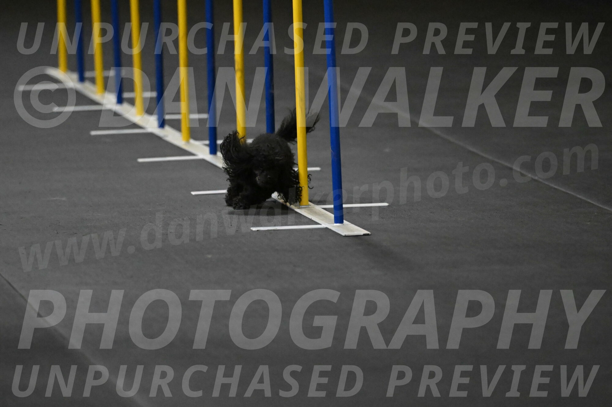 Murphy-Bourell-Casey-13448