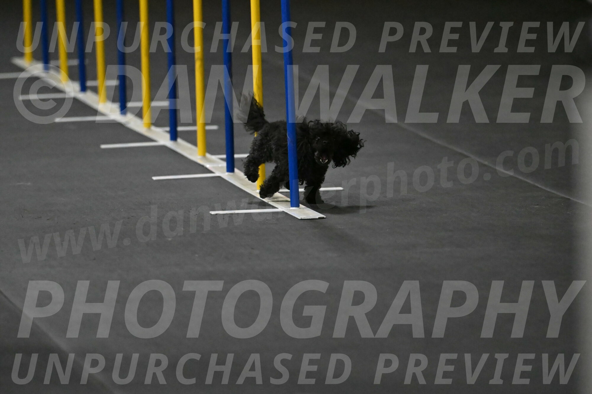 Murphy-Bourell-Casey-13451