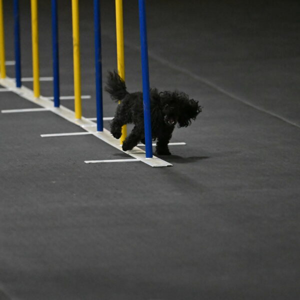 Murphy-Bourell-Casey-13451