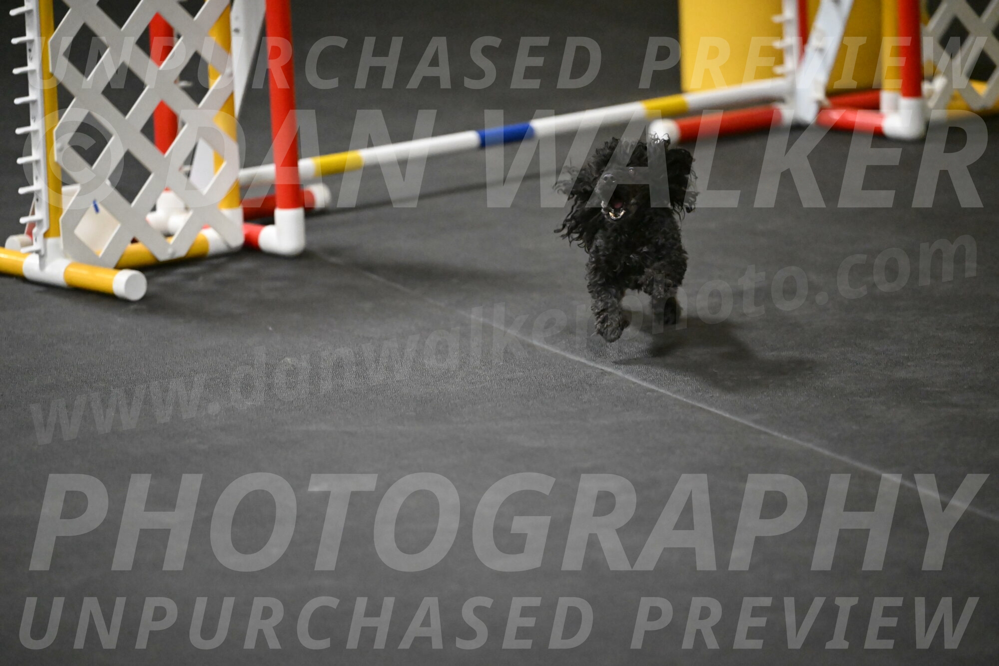 Murphy-Bourell-Casey-13454