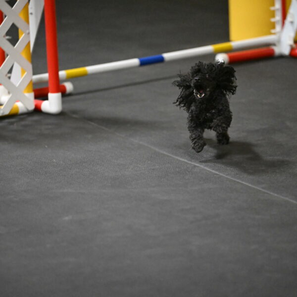 Murphy-Bourell-Casey-13454