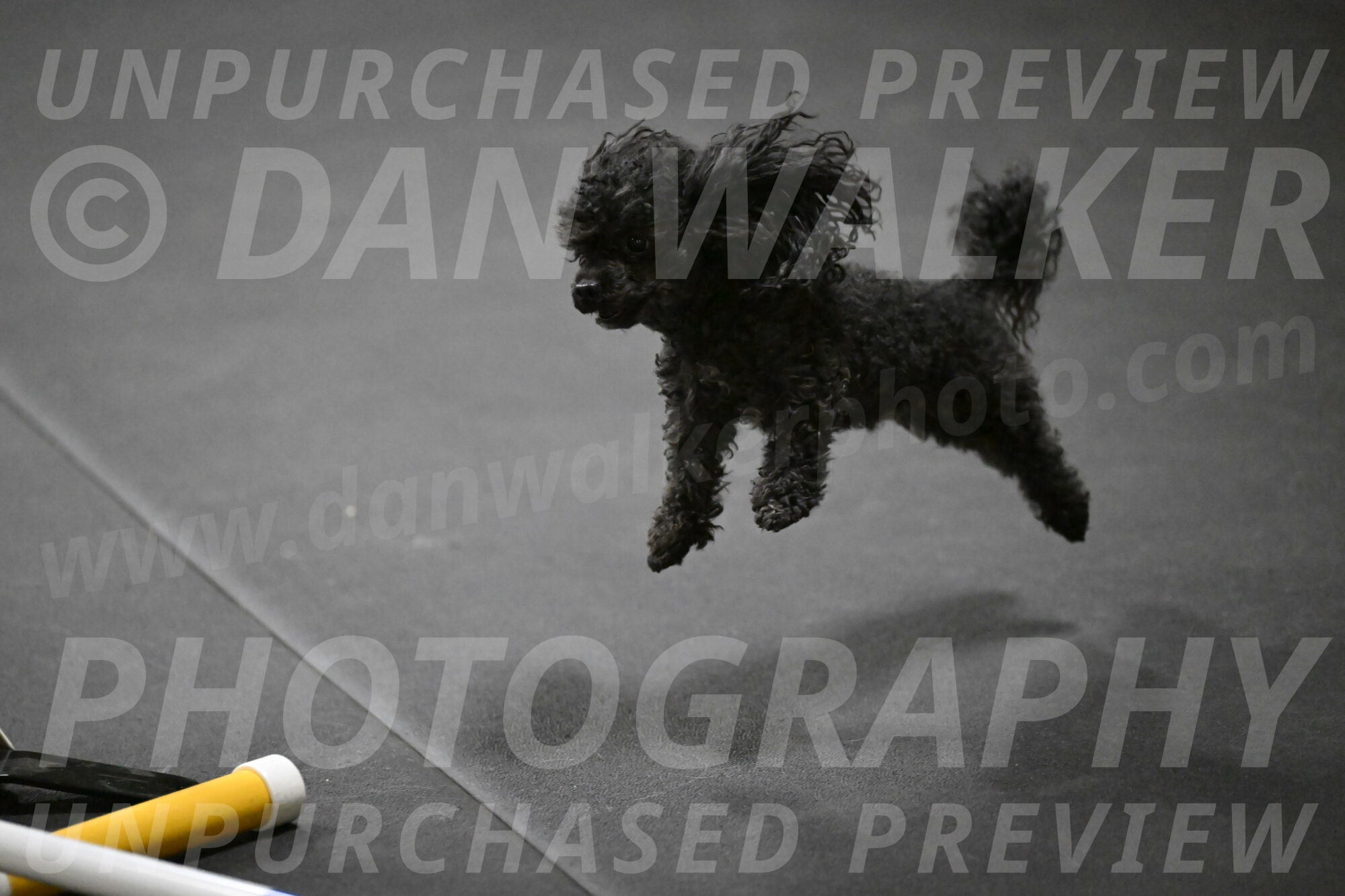 Murphy-Bourell-Casey-13456