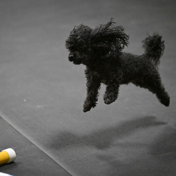 Murphy-Bourell-Casey-13456