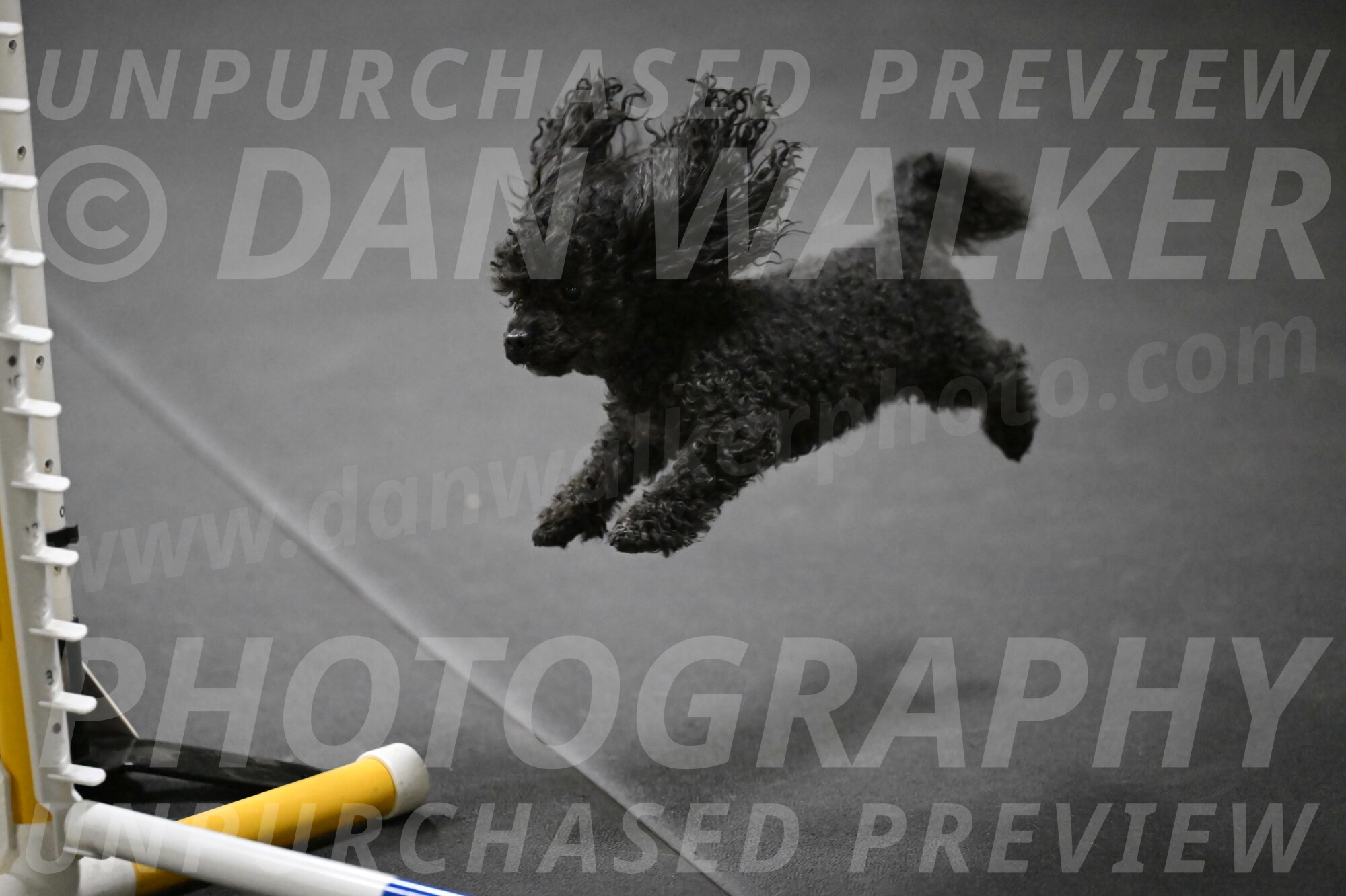 Murphy-Bourell-Casey-13457