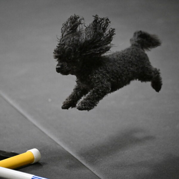 Murphy-Bourell-Casey-13457