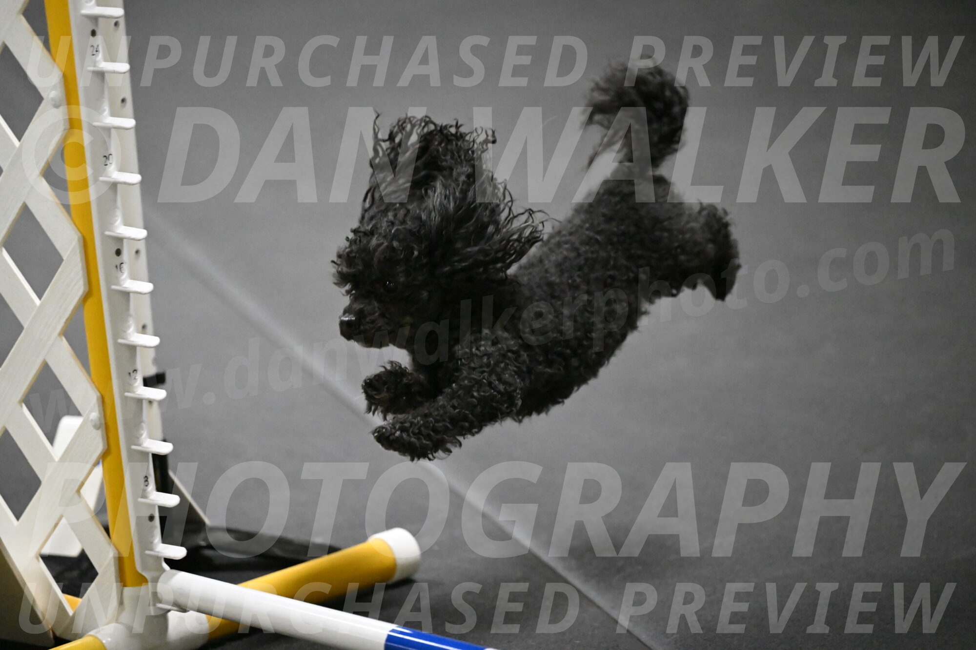 Murphy-Bourell-Casey-13458