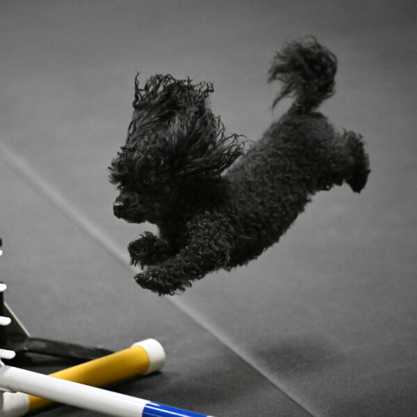 Murphy-Bourell-Casey-13458