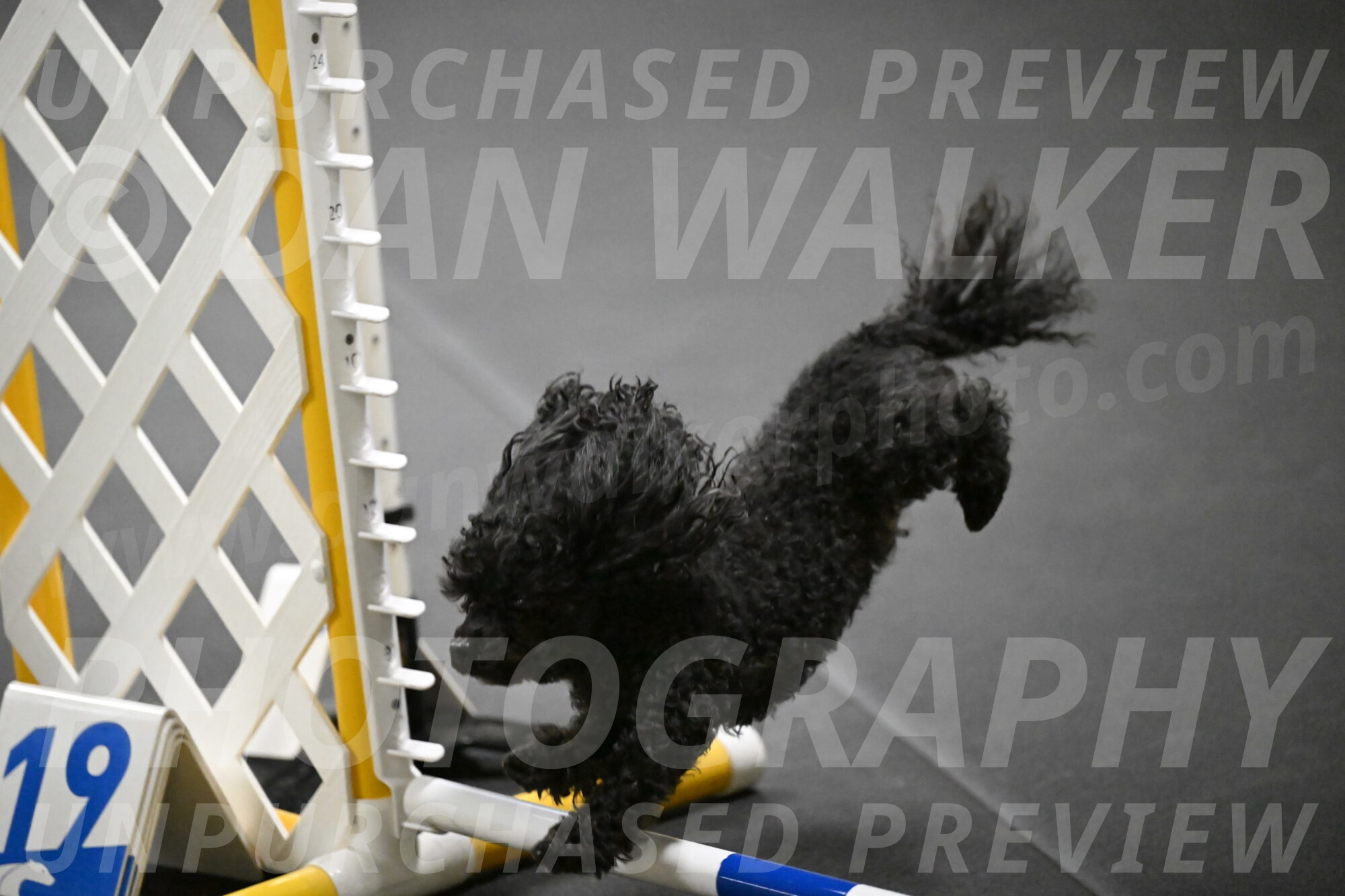 Murphy-Bourell-Casey-13459