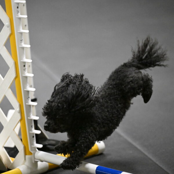 Murphy-Bourell-Casey-13459