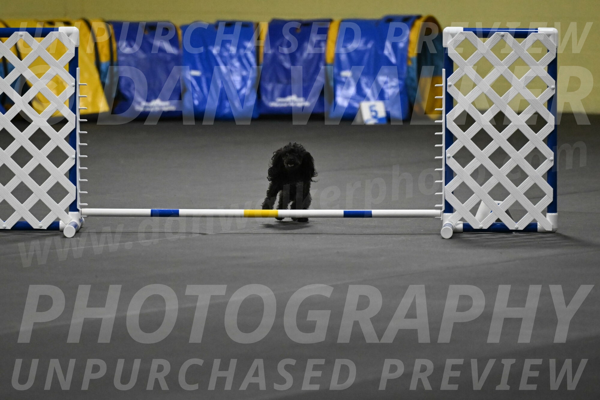 Murphy-Bourell-Casey-13463