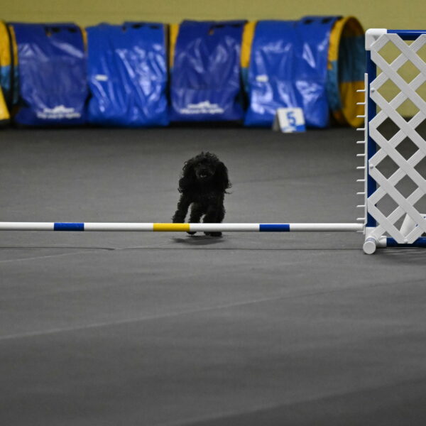 Murphy-Bourell-Casey-13463