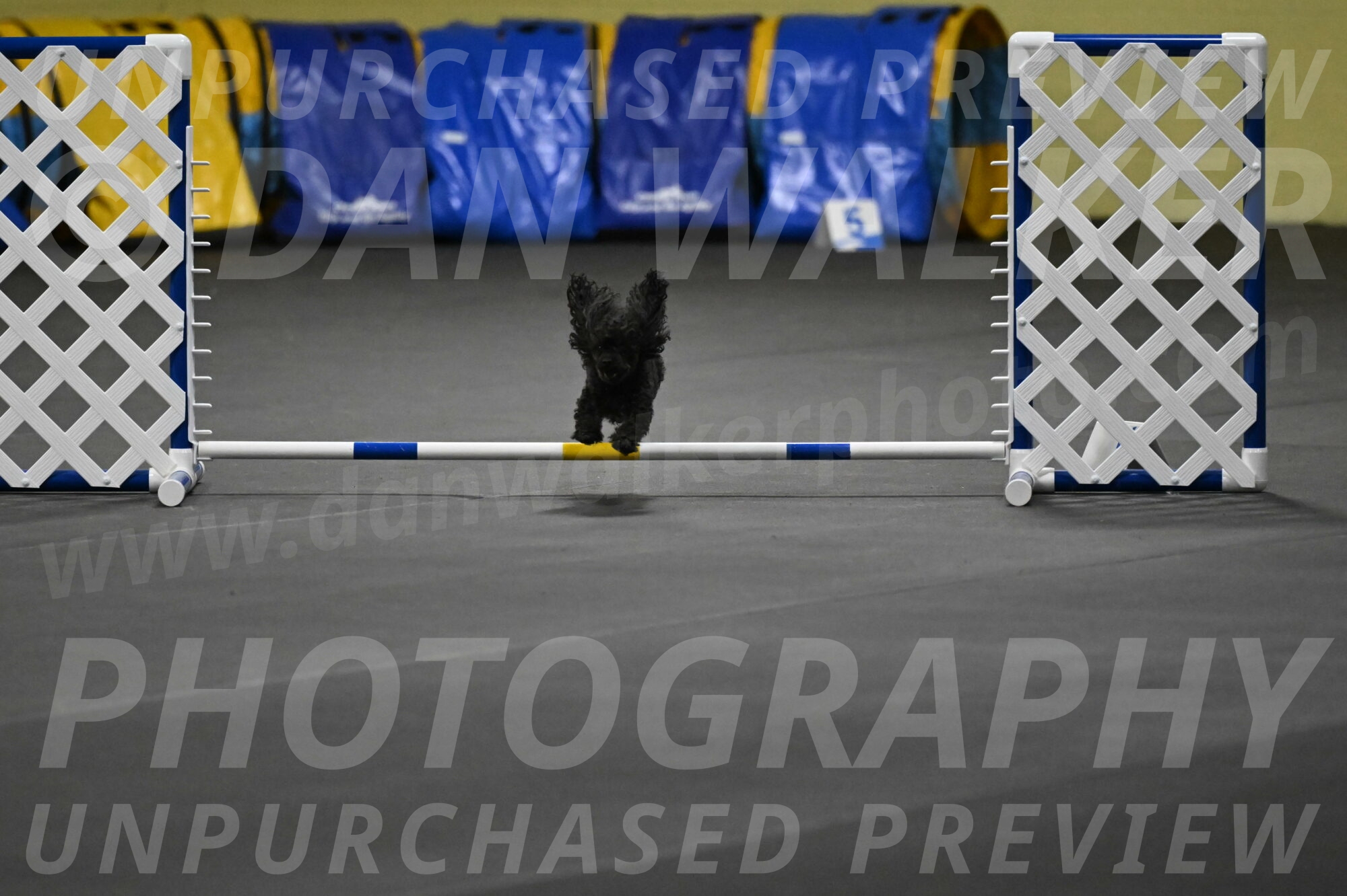 Murphy-Bourell-Casey-13464