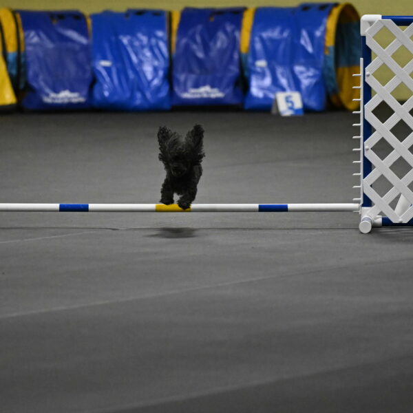 Murphy-Bourell-Casey-13464