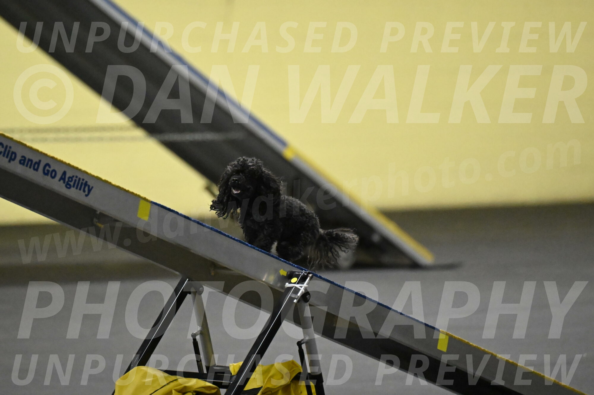 Murphy-Bourell-Casey-13468