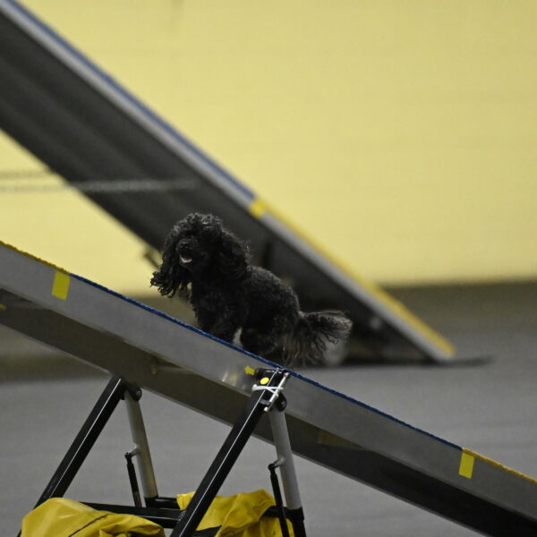 Murphy-Bourell-Casey-13468