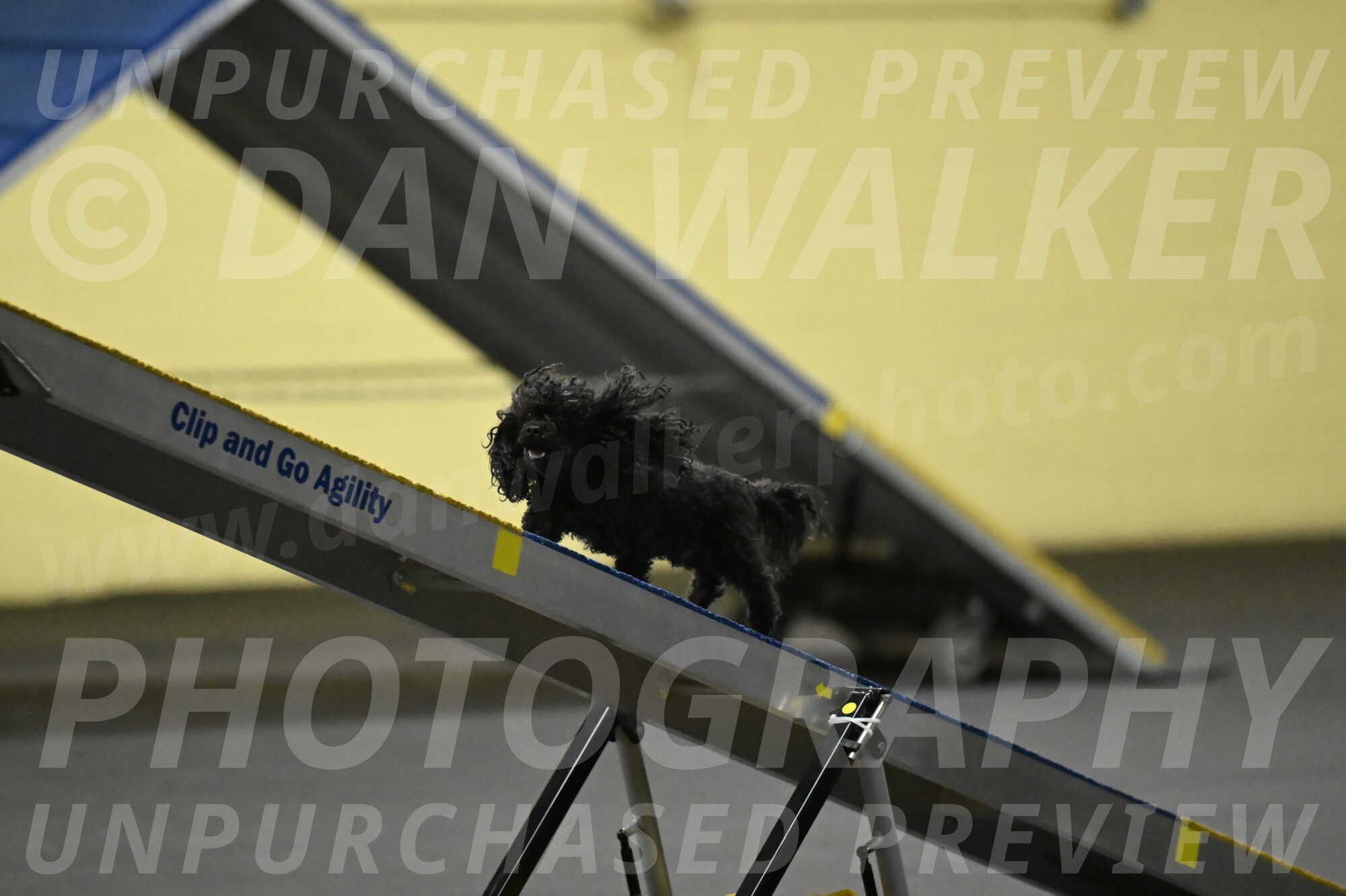 Murphy-Bourell-Casey-13469