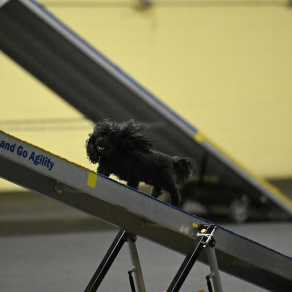 Murphy-Bourell-Casey-13469