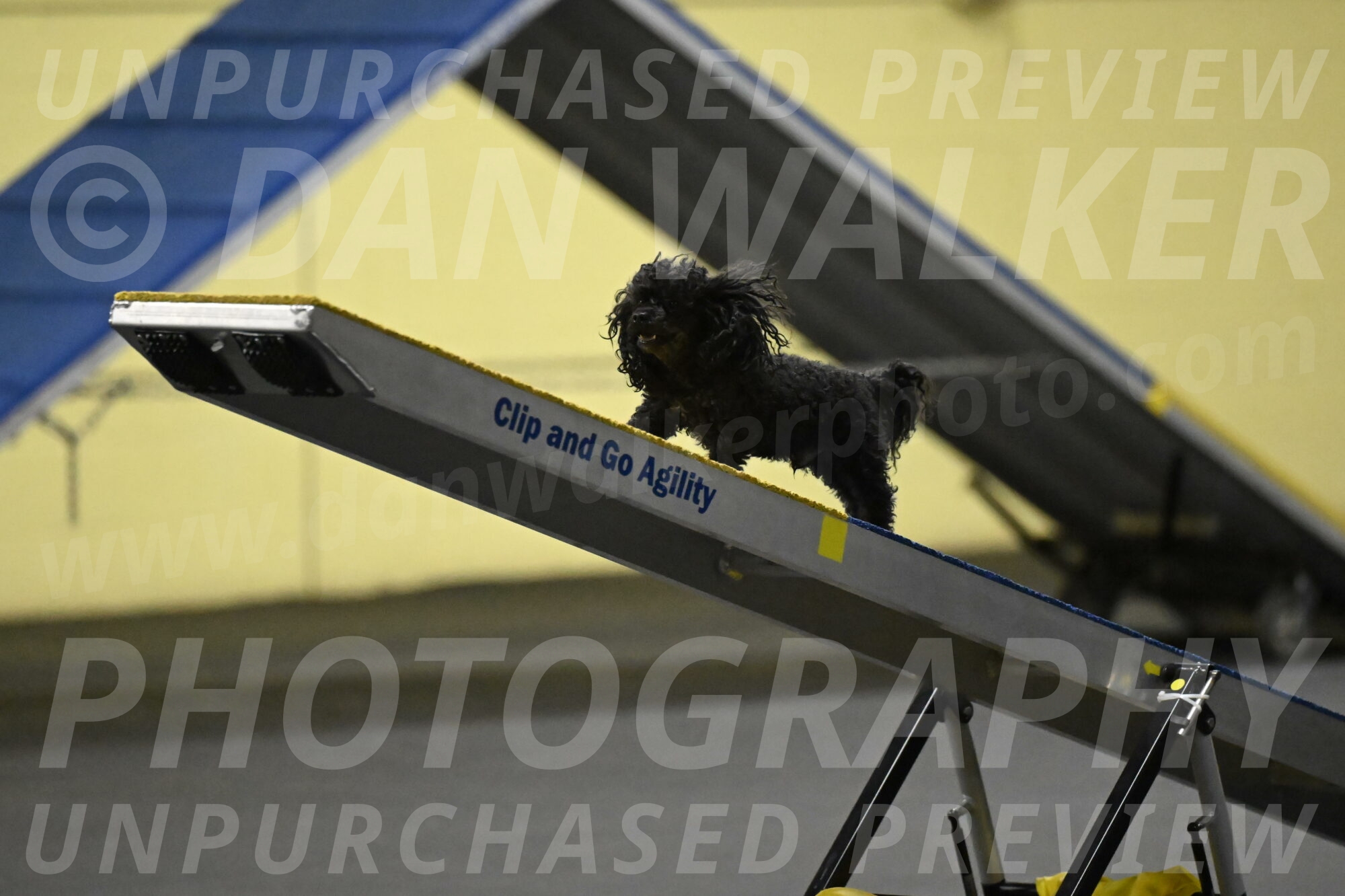 Murphy-Bourell-Casey-13471