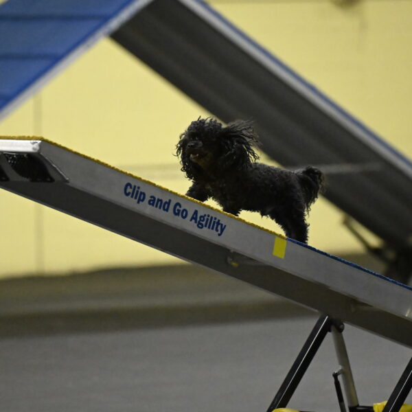 Murphy-Bourell-Casey-13471