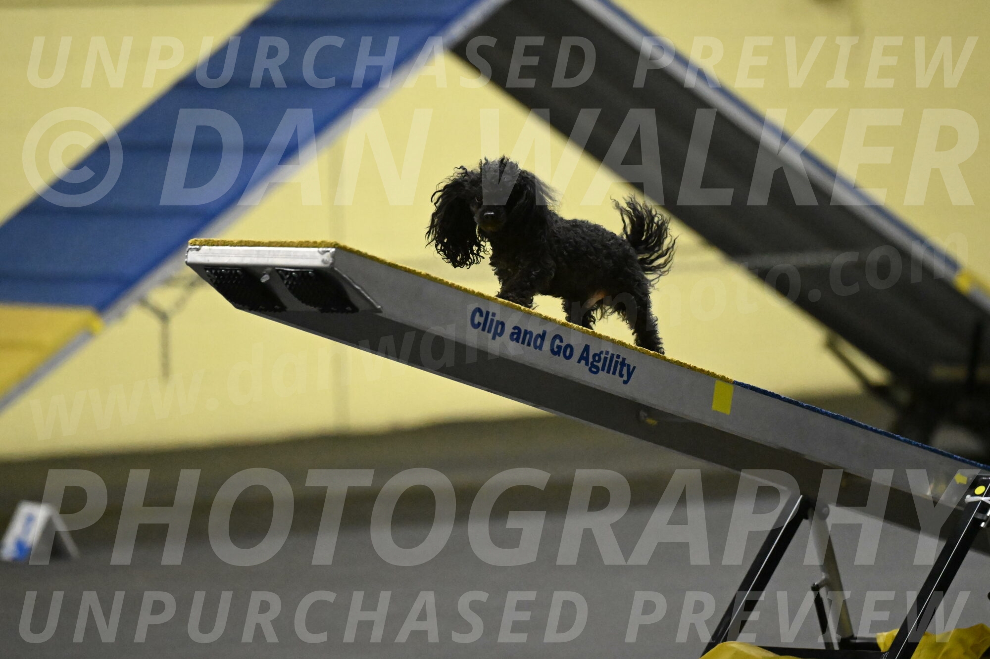 Murphy-Bourell-Casey-13473