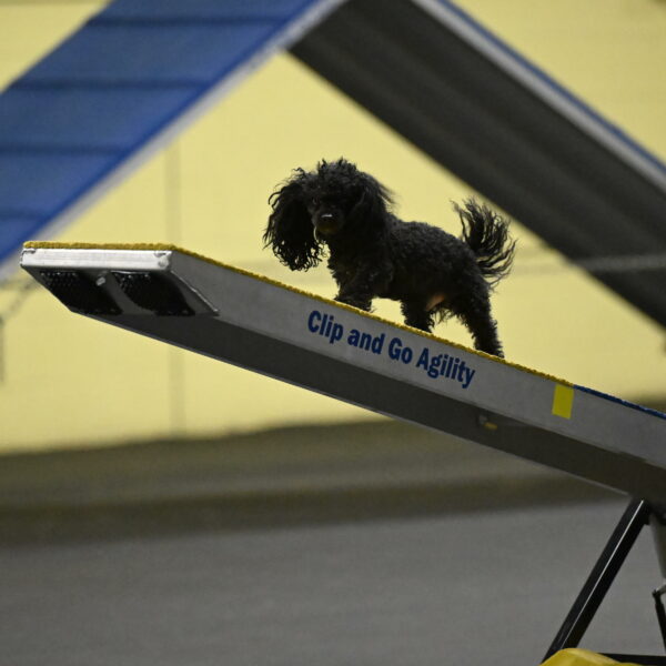 Murphy-Bourell-Casey-13473