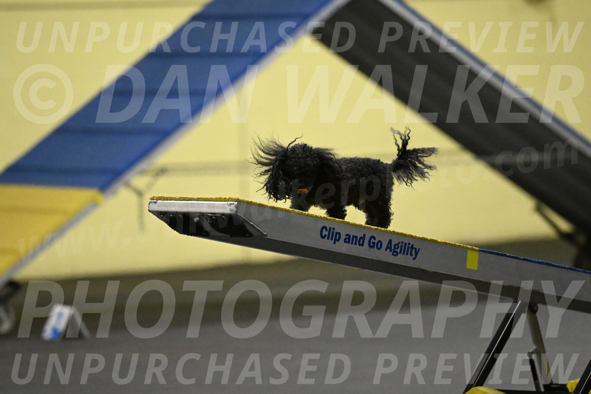 Murphy-Bourell-Casey-13475