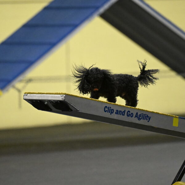 Murphy-Bourell-Casey-13475