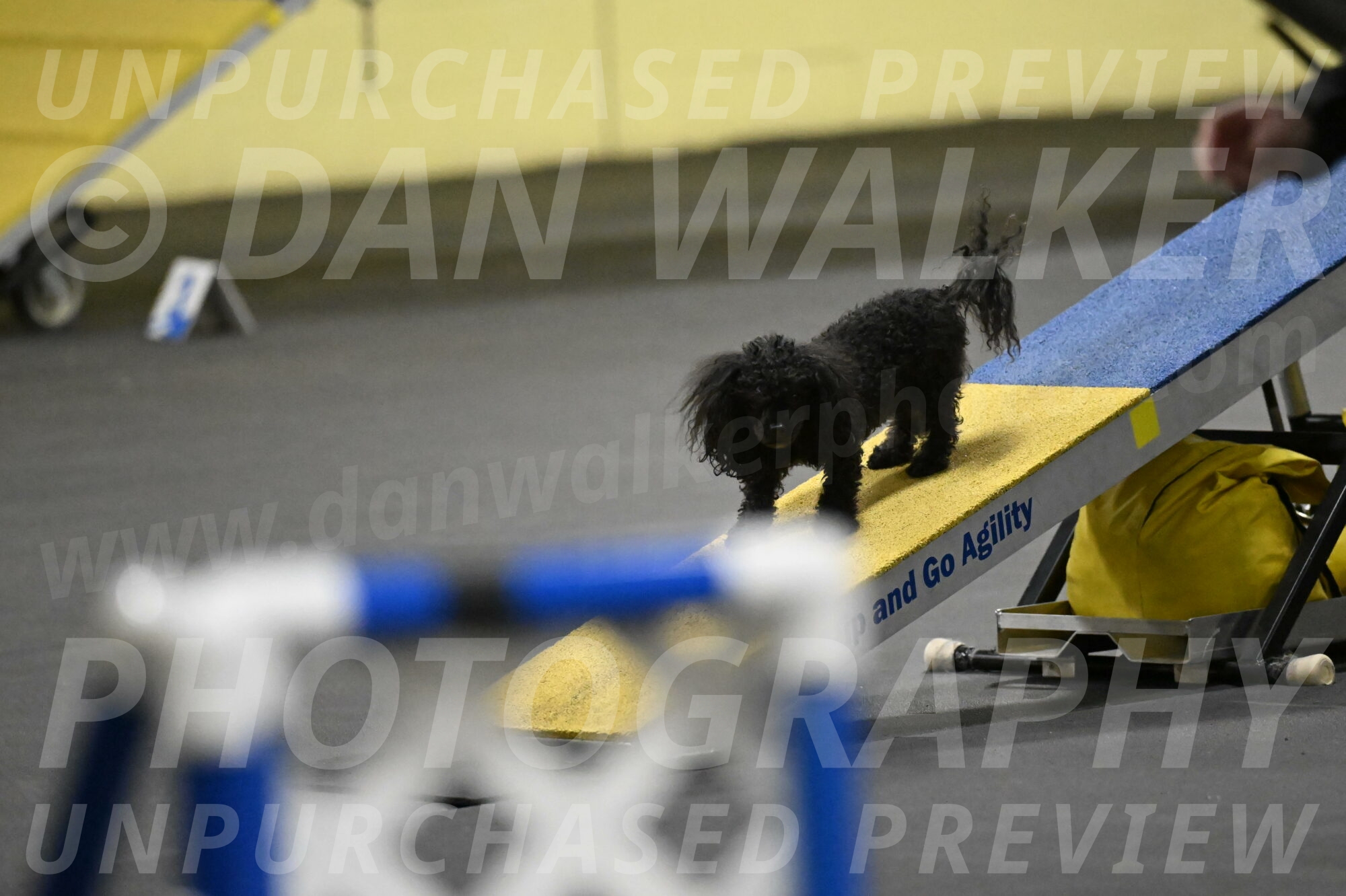 Murphy-Bourell-Casey-13481