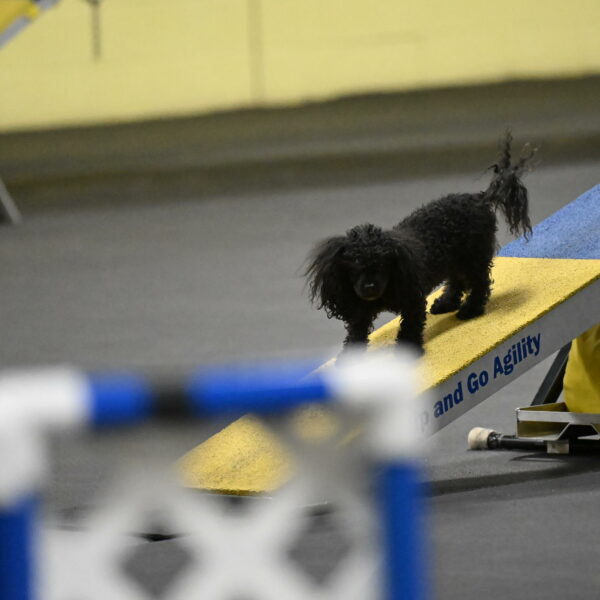 Murphy-Bourell-Casey-13481