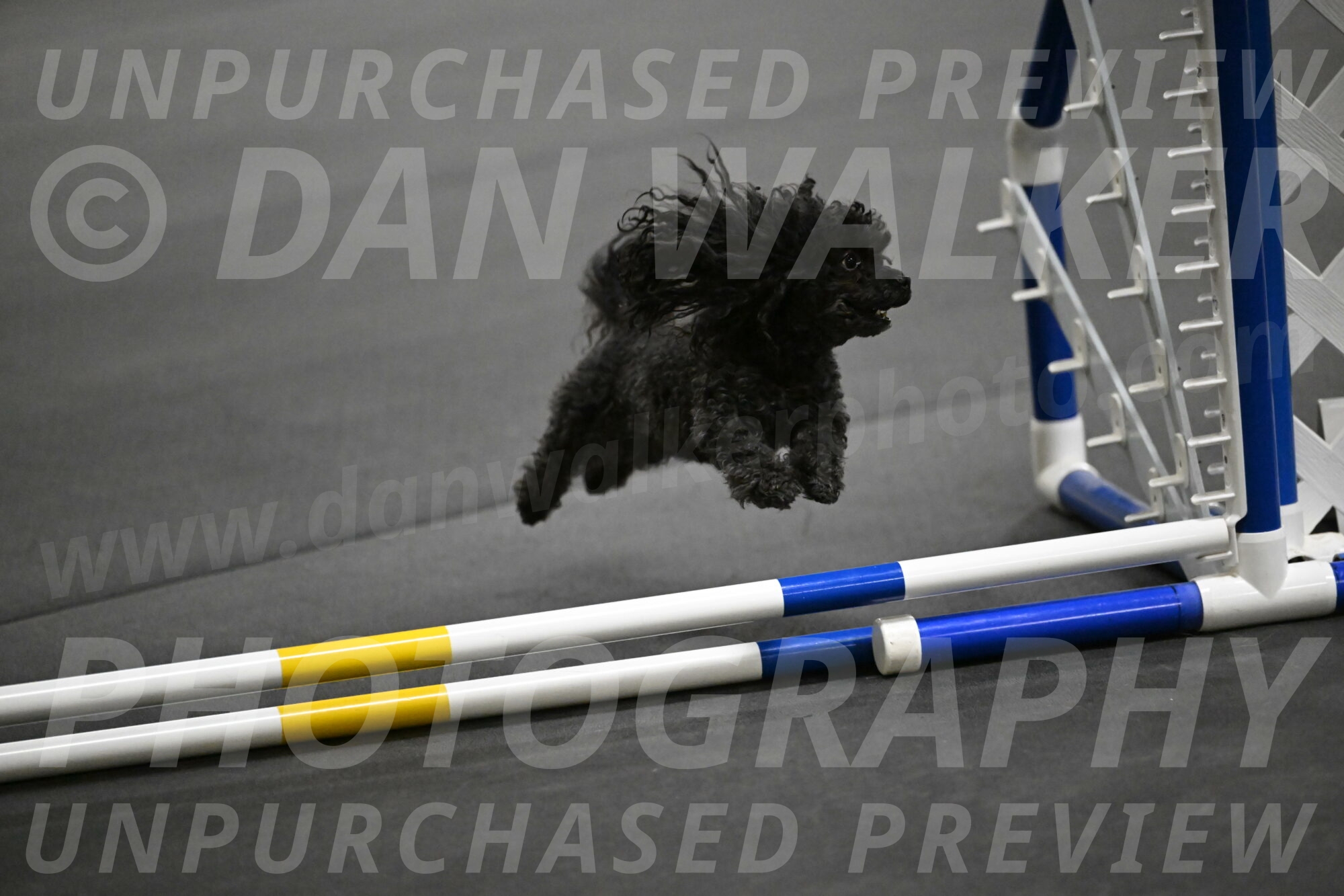 Murphy-Bourell-Casey-13486