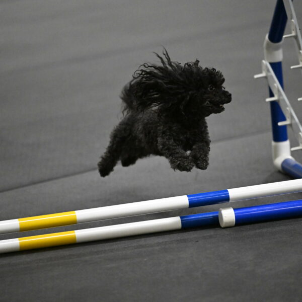 Murphy-Bourell-Casey-13486