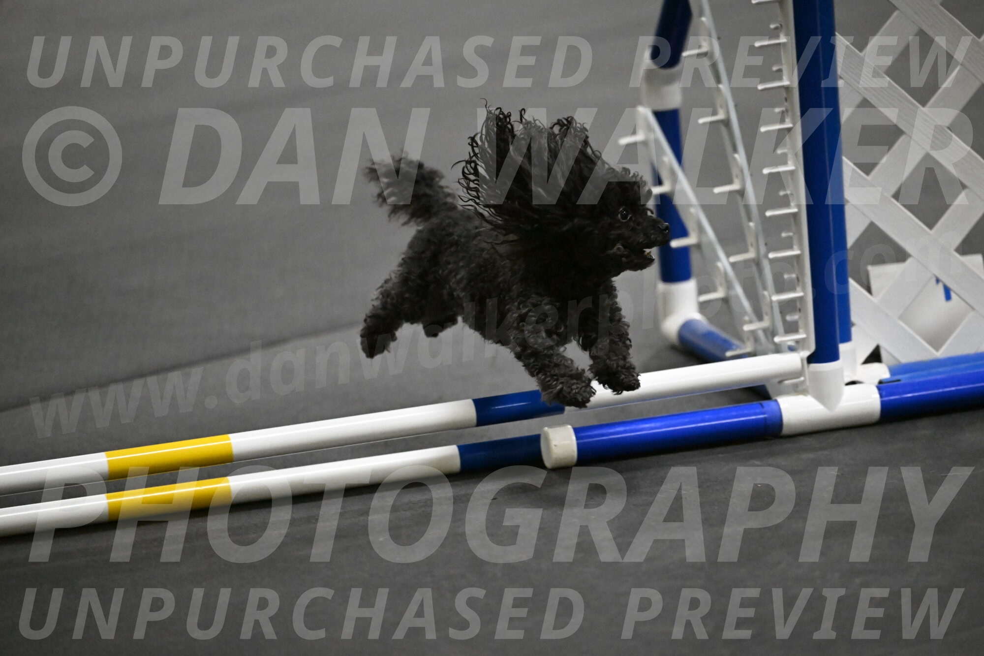 Murphy-Bourell-Casey-13487