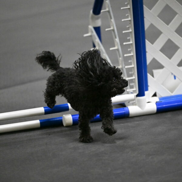 Murphy-Bourell-Casey-13488