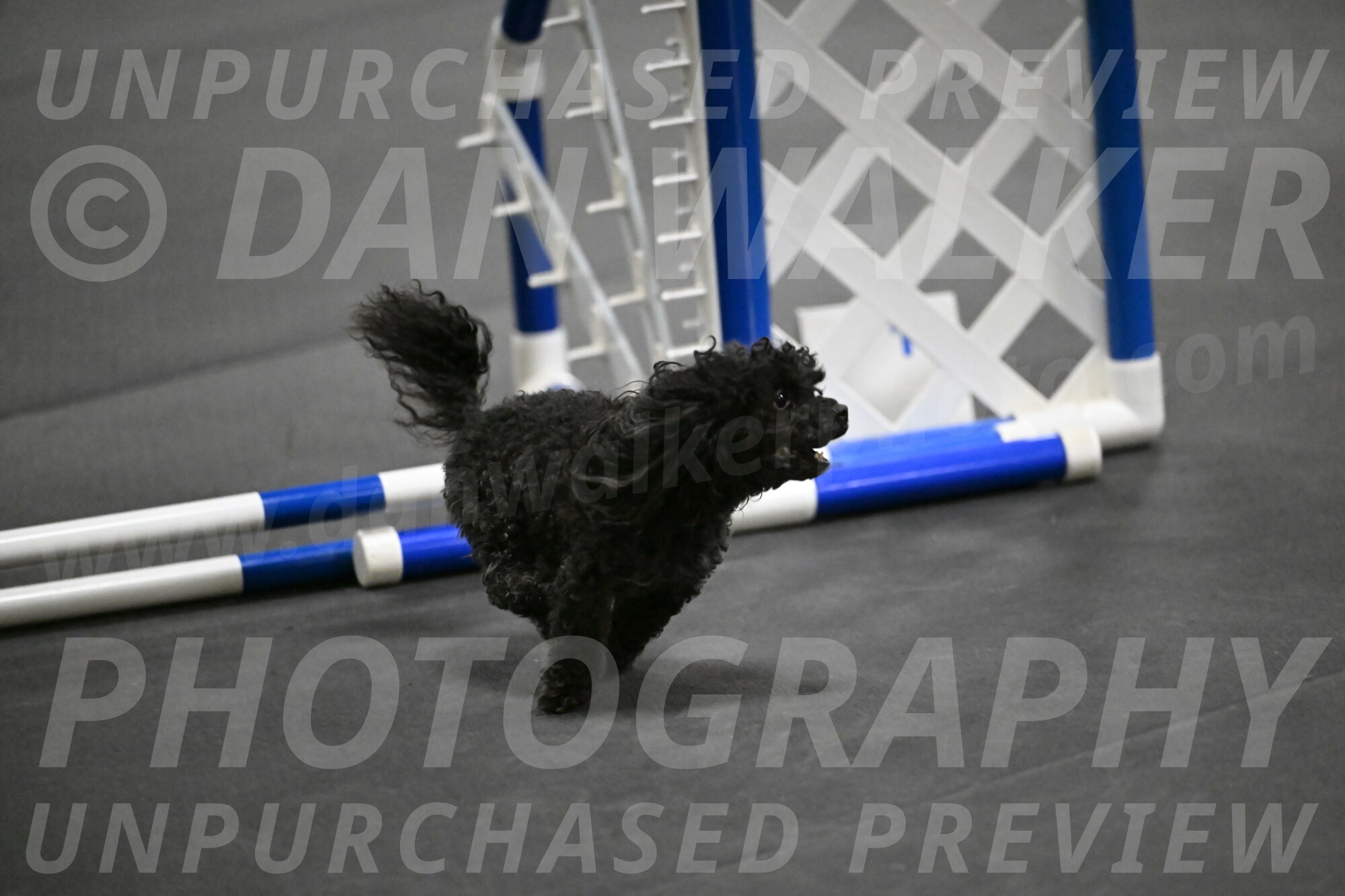 Murphy-Bourell-Casey-13489