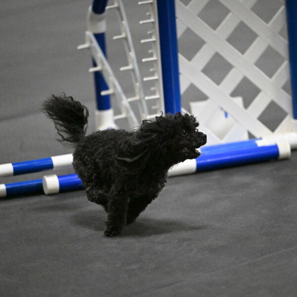 Murphy-Bourell-Casey-13489