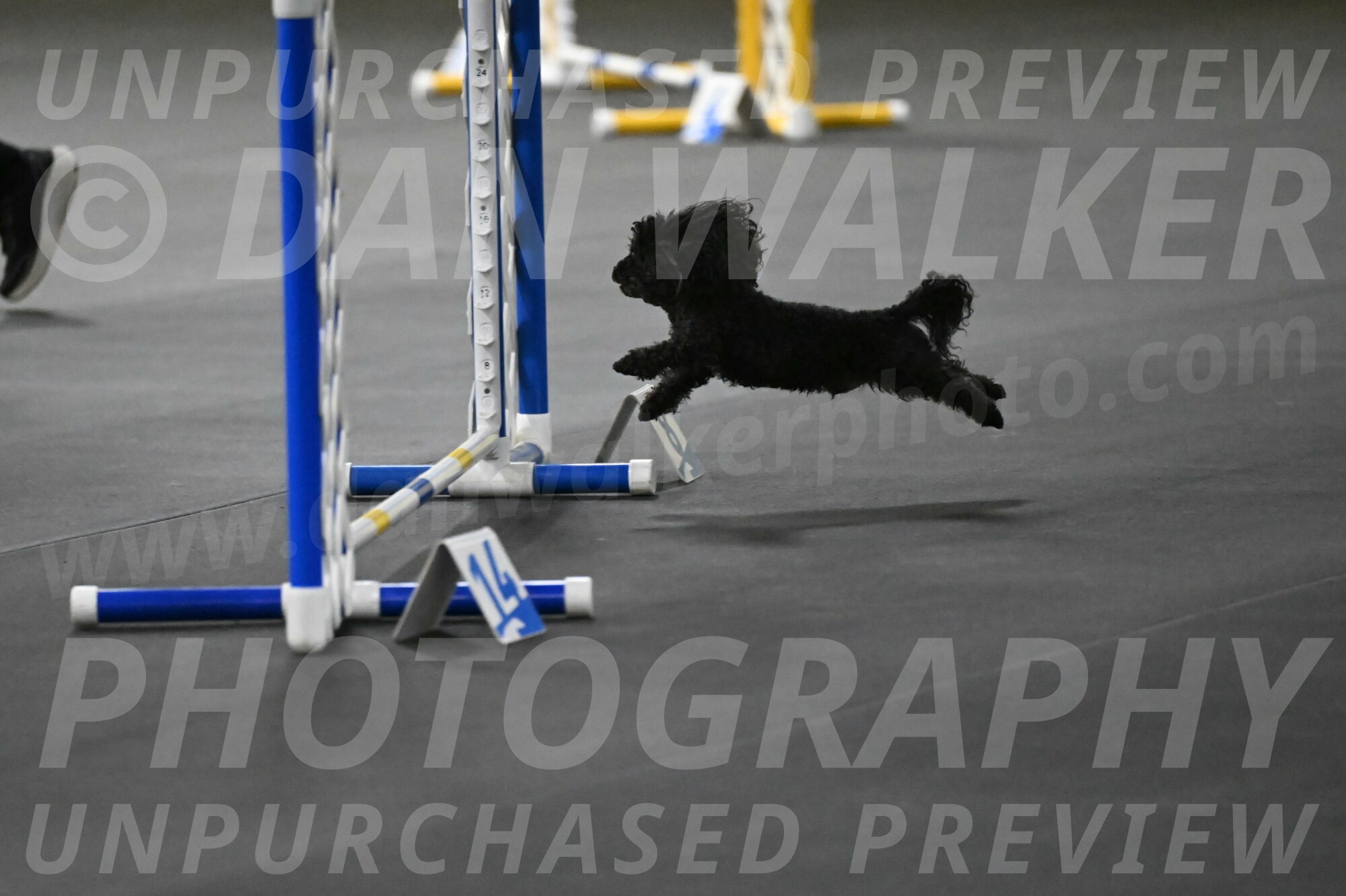 Murphy-Bourell-Casey-13500