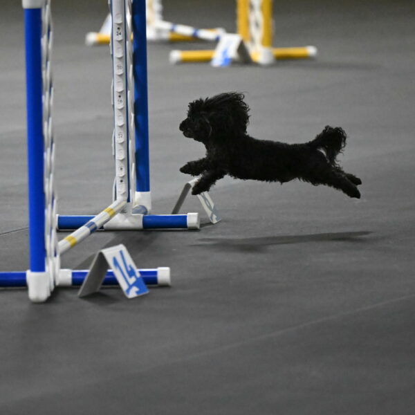 Murphy-Bourell-Casey-13500