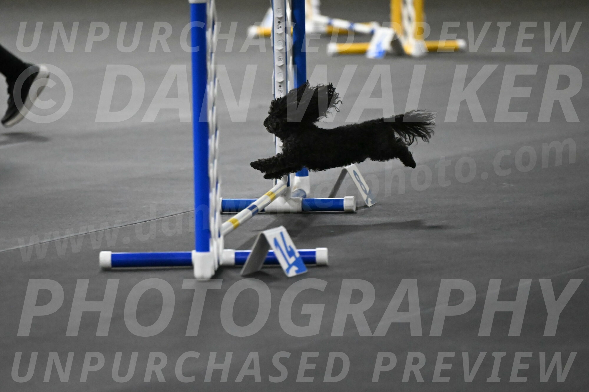 Murphy-Bourell-Casey-13501