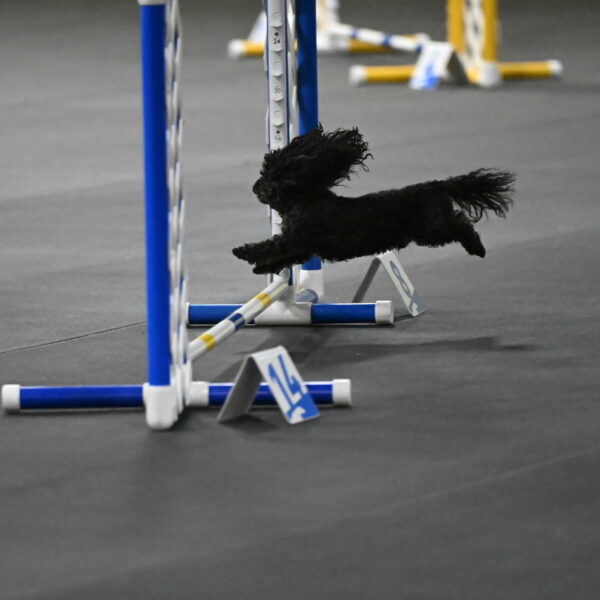 Murphy-Bourell-Casey-13501