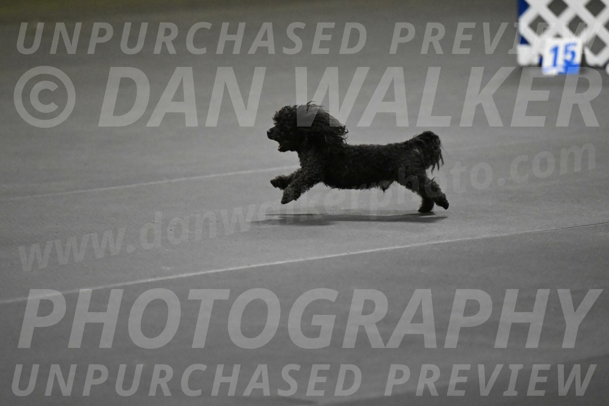 Murphy-Bourell-Casey-13502