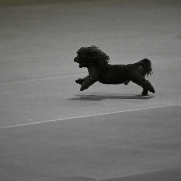 Murphy-Bourell-Casey-13502