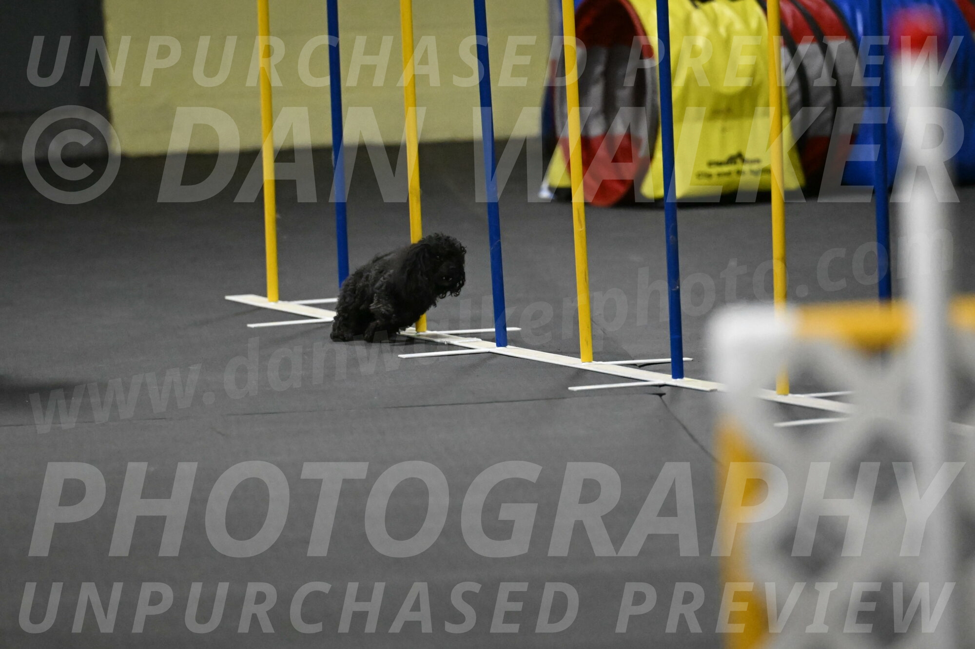 Murphy-Bourell-Casey-13523