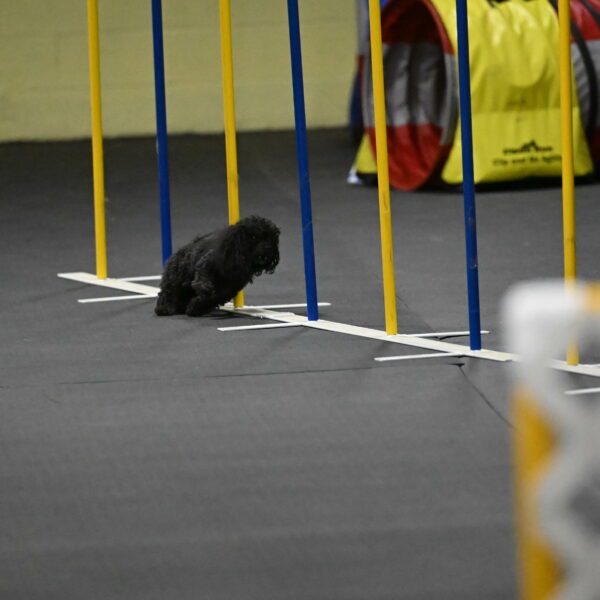 Murphy-Bourell-Casey-13523