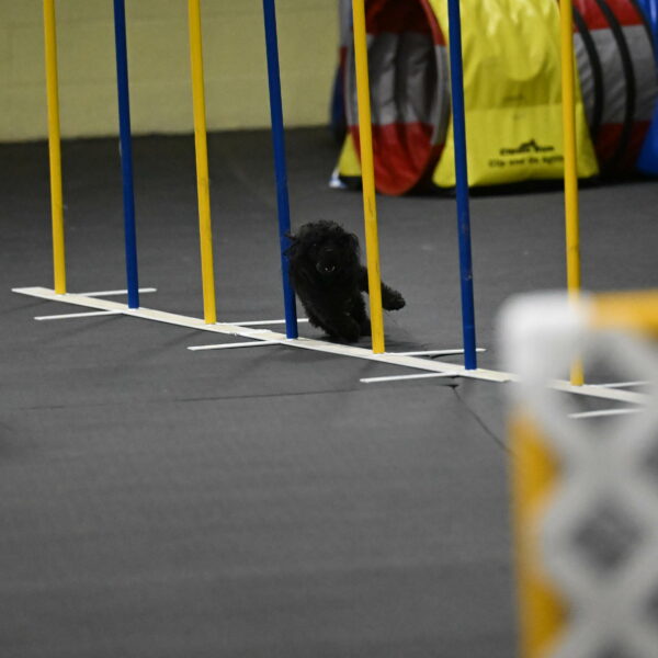 Murphy-Bourell-Casey-13526