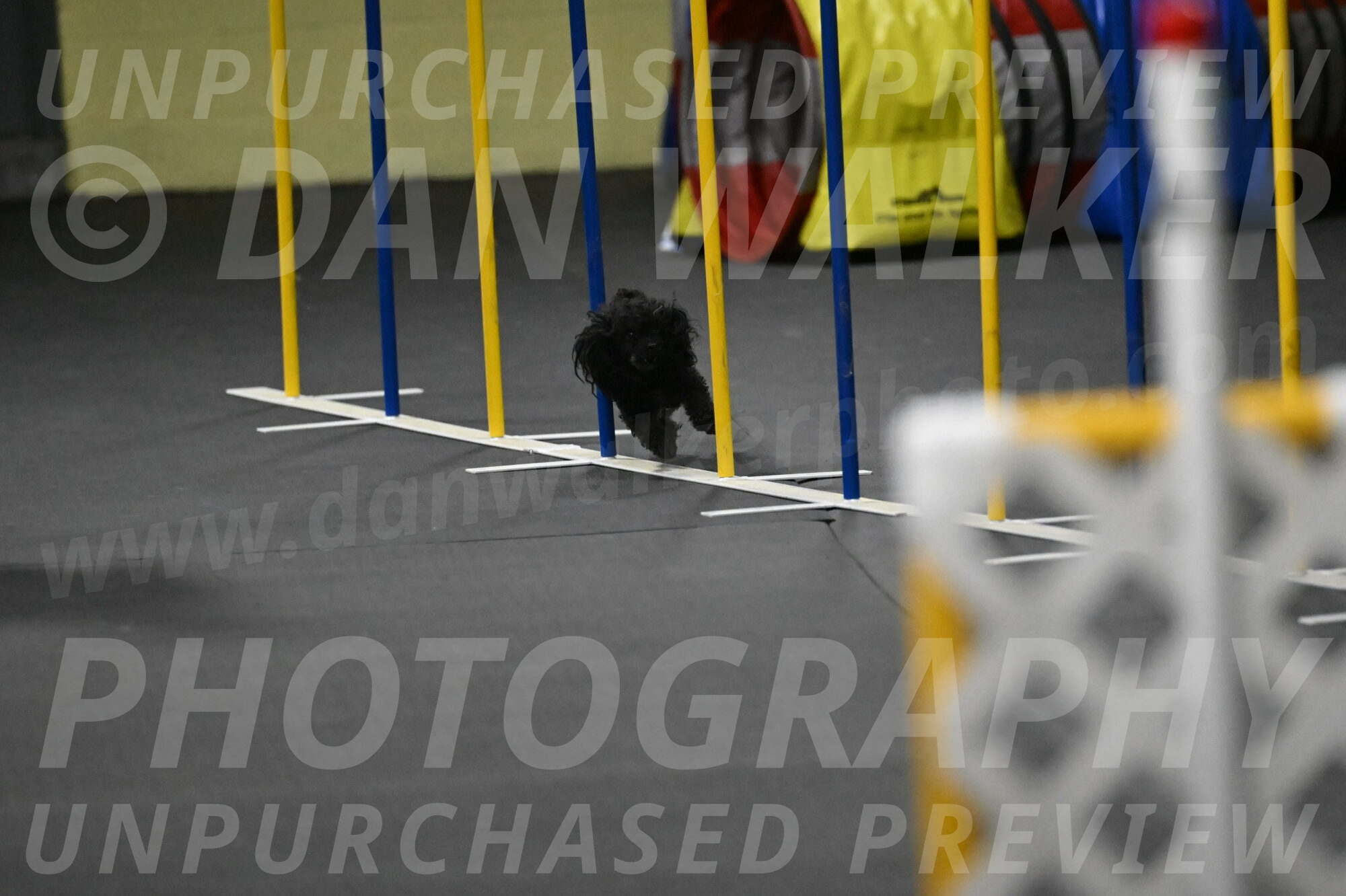 Murphy-Bourell-Casey-13527